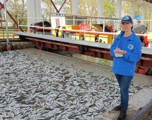 Гуськова Ольга Сергеевна